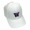 Adidas UW Tour Snapback Hat